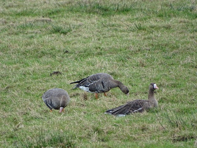 成功也反映 成功也反映
