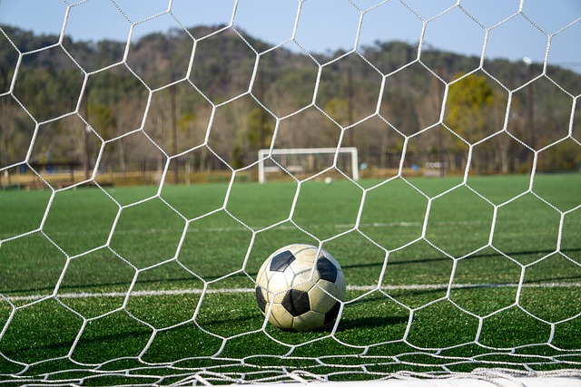 對於阿森納 對於阿森納